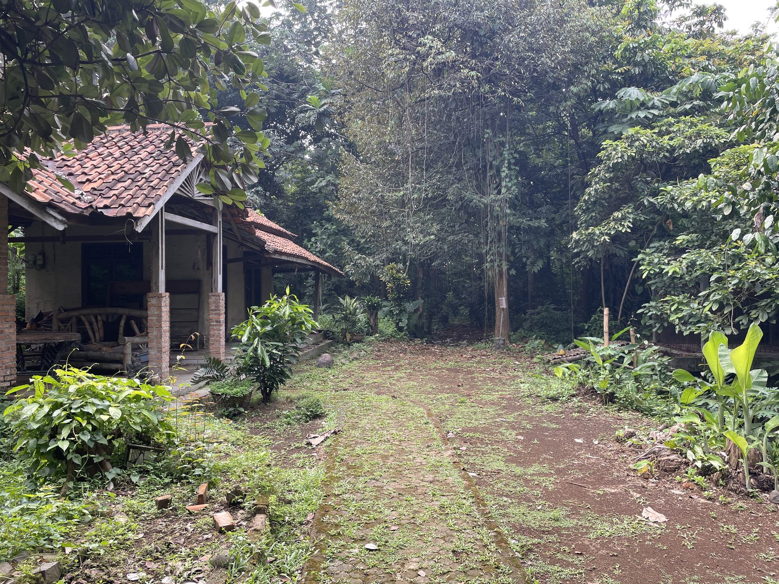 Path into the forest — Bengkel Teater Rendra compound, Cipayung, Java
